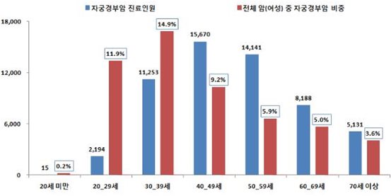 '자궁경부암' 연령별 진료인원·비중(2015년)<자료 심사평가원>.