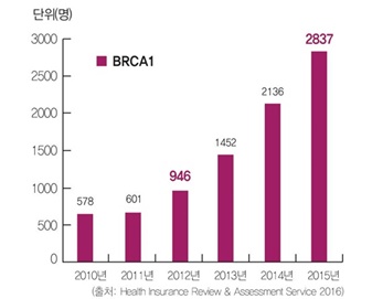 그래프 A:국내 BRCA1 유전자 검사 건수 추이.