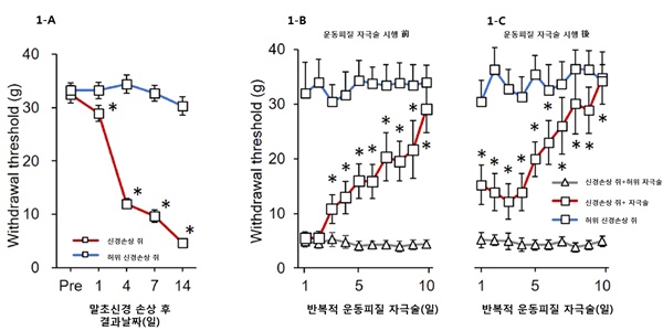 운동피질 자극 후 그룹별 물리적 반응에 의한 역치 변화정도 측정 그래프.
