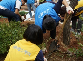 CJ헬스케어와 한국콜마 임직원이 화초를 심고 있다.