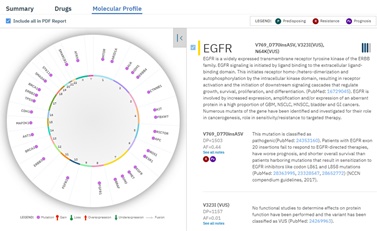 한 폐암 환자의 NGS 검사결과를 분석한 ‘왓슨 포 지노믹스’. 환자의 종양에서 발견된 EGFR(상피세포 성장인자 수용체) 변이의 유전자 정보, 예후 정보 및 환자에게 가장 적합한 맞춤 치료 정보를 보여준다.