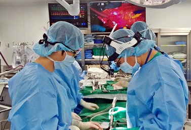 무봉합 대동맥판막치환술 수술(사진 세브란스병원 제공).