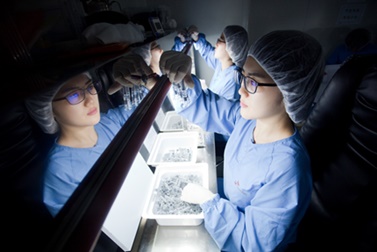 SK바이오사이언스 연구원이 백신 개발을 위한 R&D를 진행하고 있다.