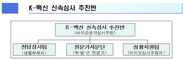 K-백신 신속심사 추진반(자료 식약처).
