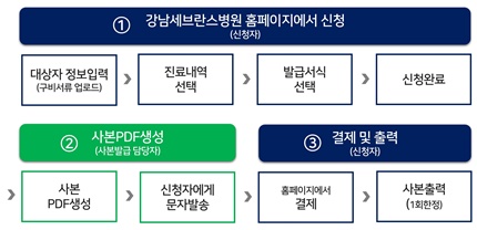 온라인 의무기록사본 발급 절차(강남세브란스병원 제공).